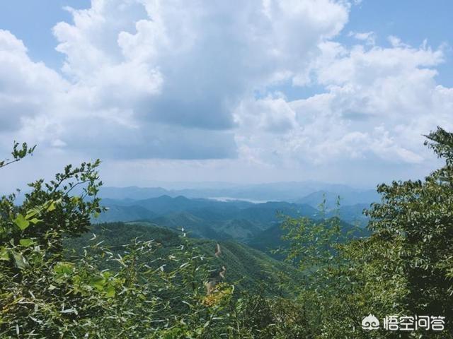 莫干山景区,湖州的莫干山景区怎么样？