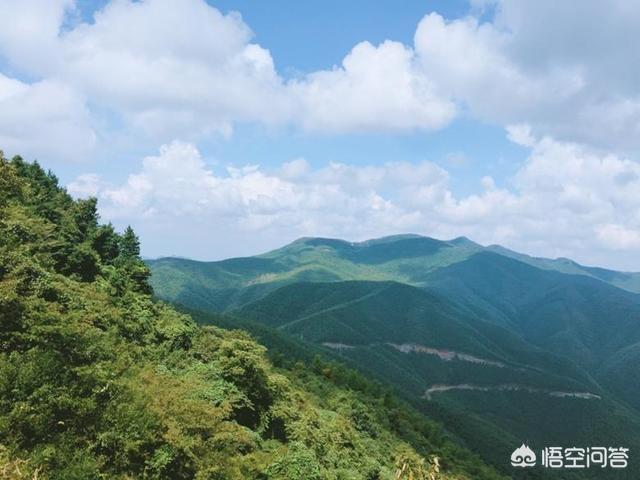 莫干山景区,湖州的莫干山景区怎么样？