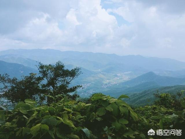 莫干山景区,湖州的莫干山景区怎么样？