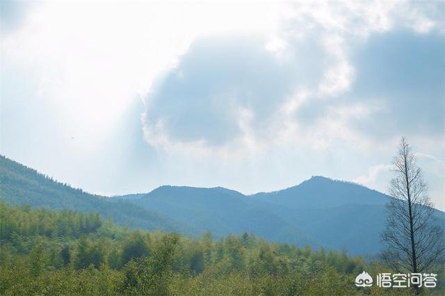 莫干山景区,湖州的莫干山景区怎么样？