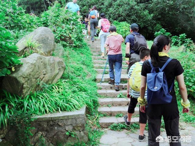 莫干山景区,湖州的莫干山景区怎么样？