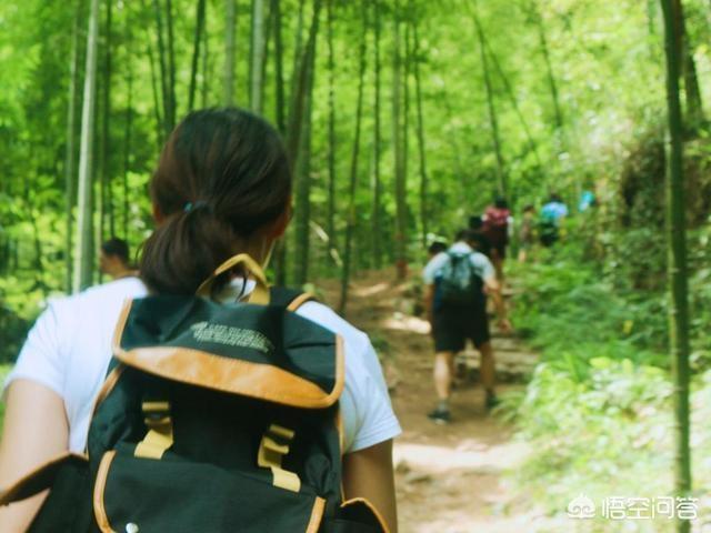 莫干山景区,湖州的莫干山景区怎么样？