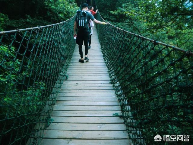 莫干山景区,湖州的莫干山景区怎么样？