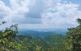 莫干山景区,湖州的莫干山景区怎么样？