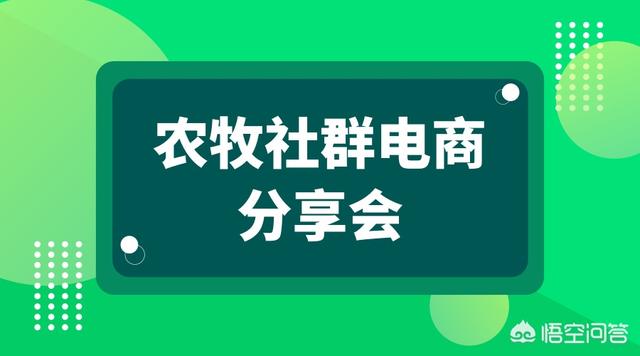 冷链物流创业,养鸡户如何通过网络来销售土鸡？