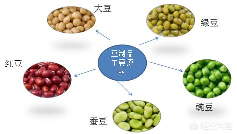 豆制品创业,怎样在豆制品行业里赚钱？