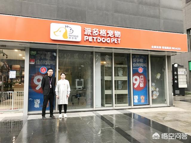 白城市创业,白城开宠物店需要多少资金？