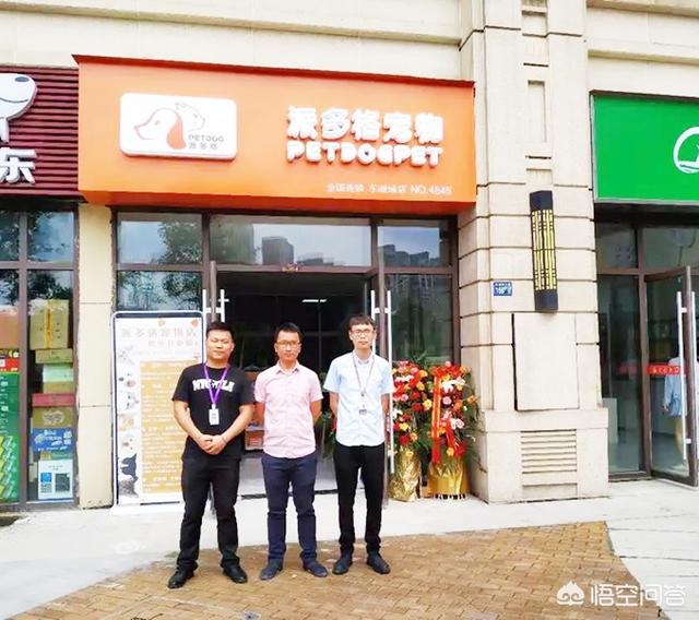 syb宠物店创业计划书,创业之初怎么开好一家宠物店？