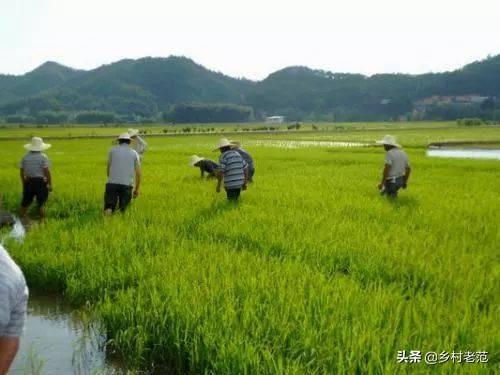 创业农场信息网,申请农场有什么最直接的好处？