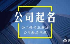 创业公司的名字,新成立的农业类公司取什么名字？