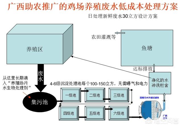 创业鸡场,新手怎么在农村做鸡养殖？