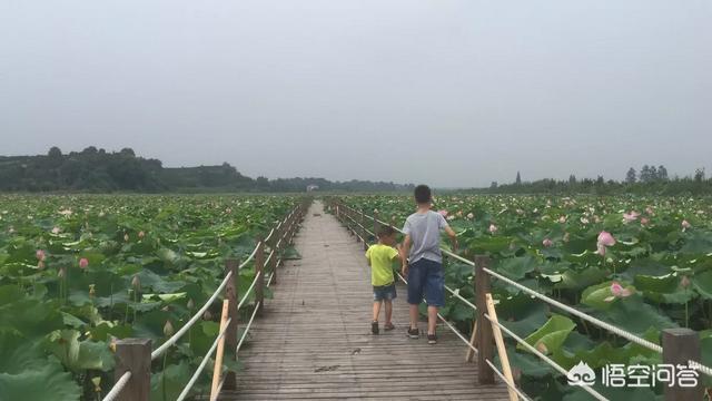 祁阳创业,祁阳女孩嫁到益阳沅江市好不好？