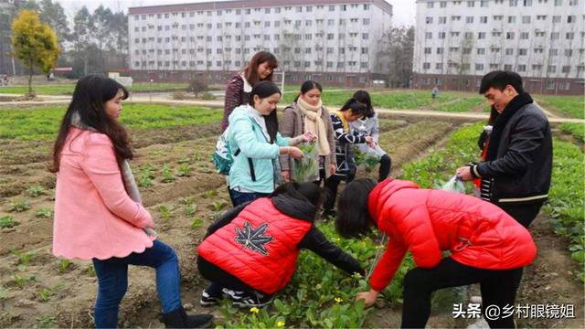 返乡创业小品,大学生回农村创业，您怎么看？