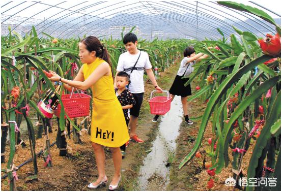 山间创业,在深山里做什么生意比较好？