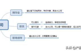 创业型公司该不该去,是待在创业公司还是去大公司？