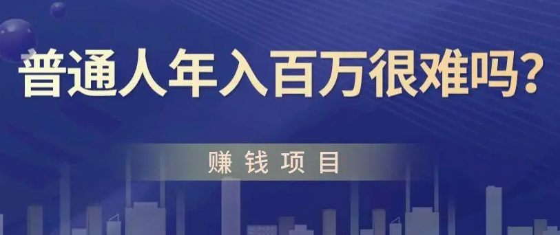 普通人可以年入百万的职业有哪些(怎么做到年入百万)