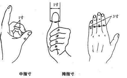 一寸一尺一丈等于多少厘米（您知道中医的一寸有多长吗）