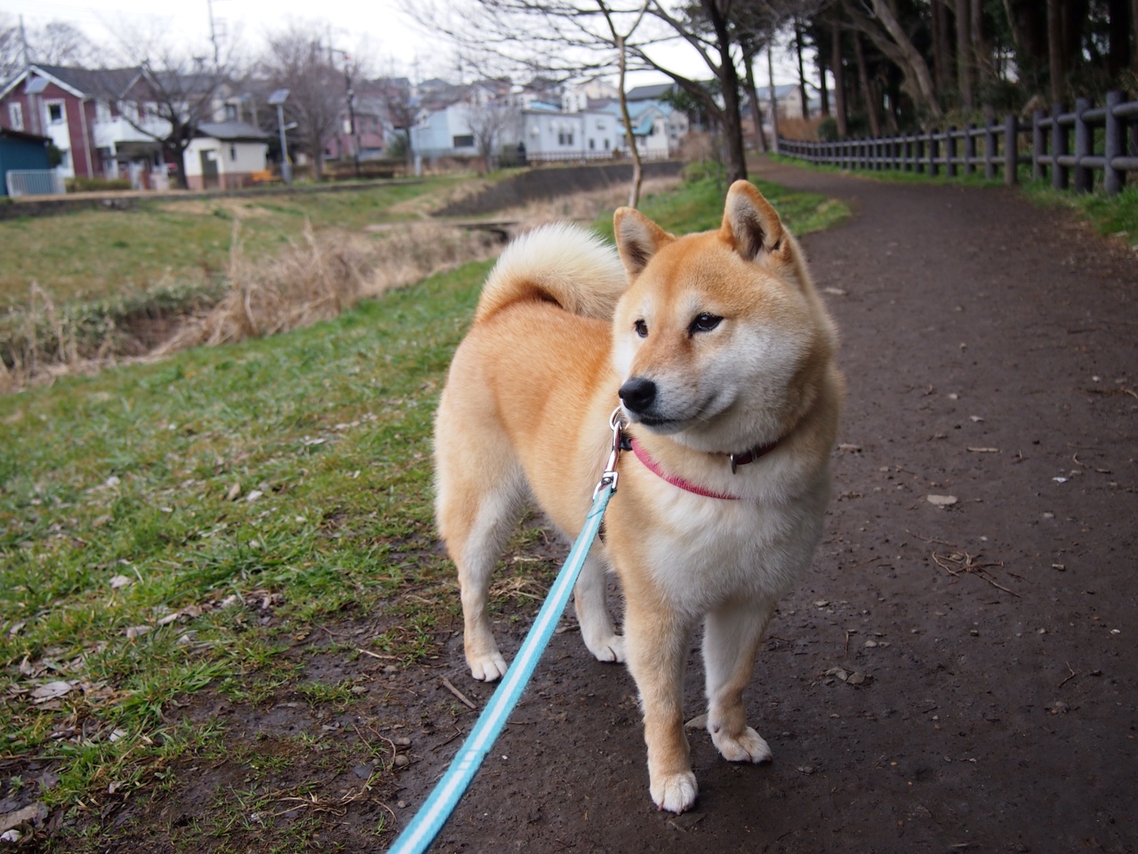 写一篇稿文多少钱，急！！！！！！宣传稿。在线等...(写作一篇稿子多少钱)