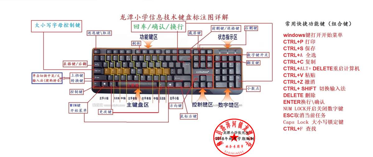 电脑打字指法（电脑键盘指法、快捷键文字及图片详解）