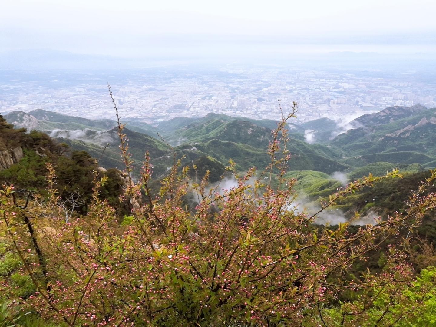 东岳是什么山（五岳独尊—东岳泰山）