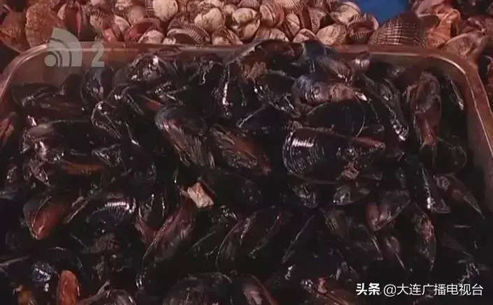 为什么禁止食用海虹（大连有人吃海虹中毒）