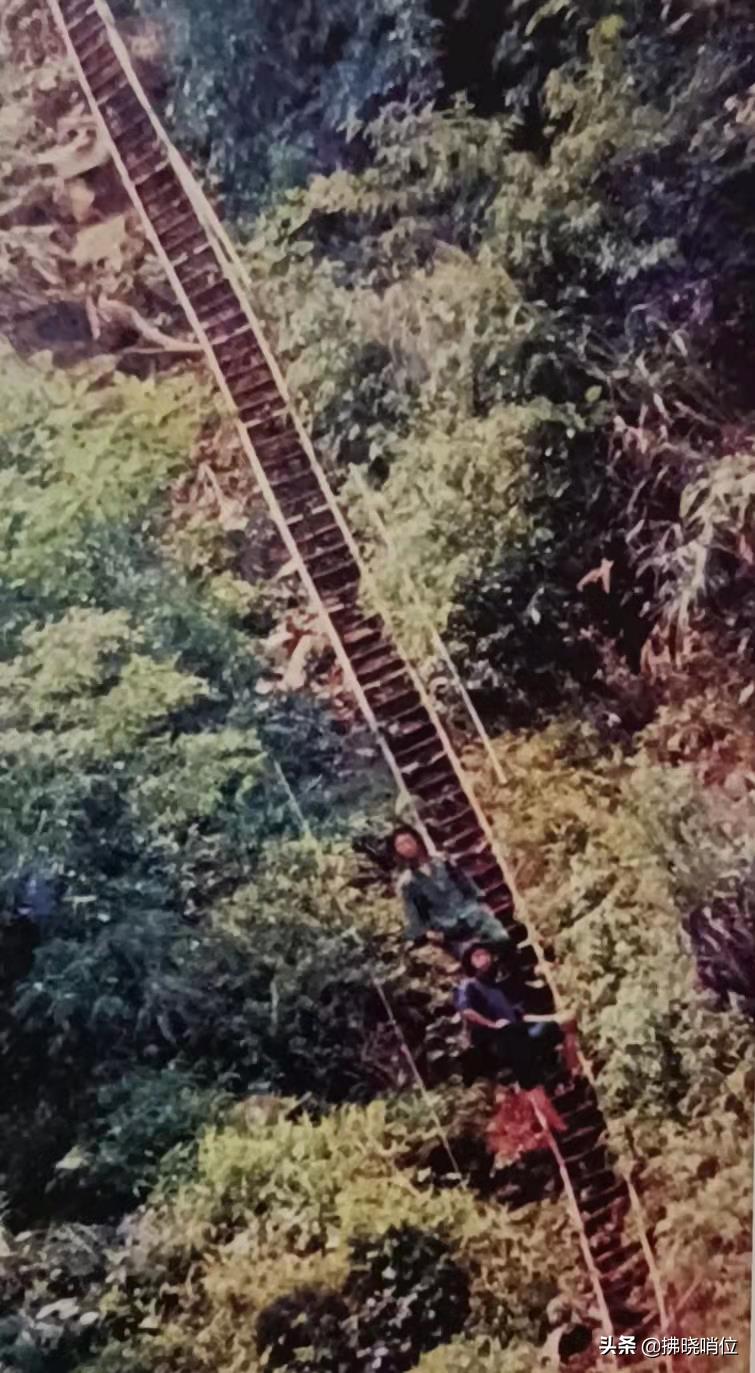 大雾漫天（老山骆驼——军工二连）