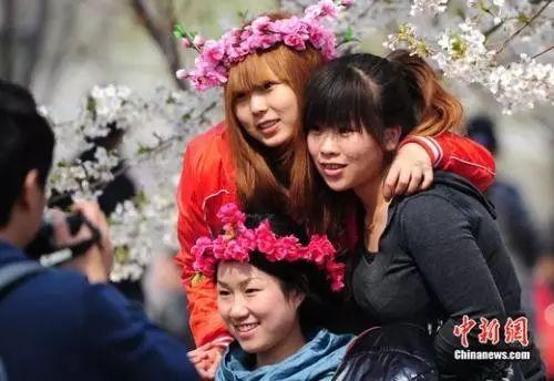 清明节快乐（究竟能不能祝“清明节快乐”）