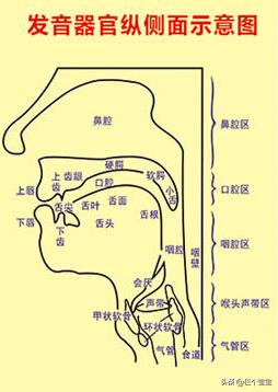 你来比划我来猜（拼音要不要提前学？）