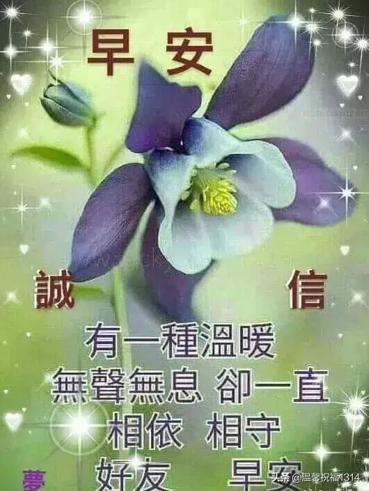 短信祝福语大全（早上好快乐问候短信）