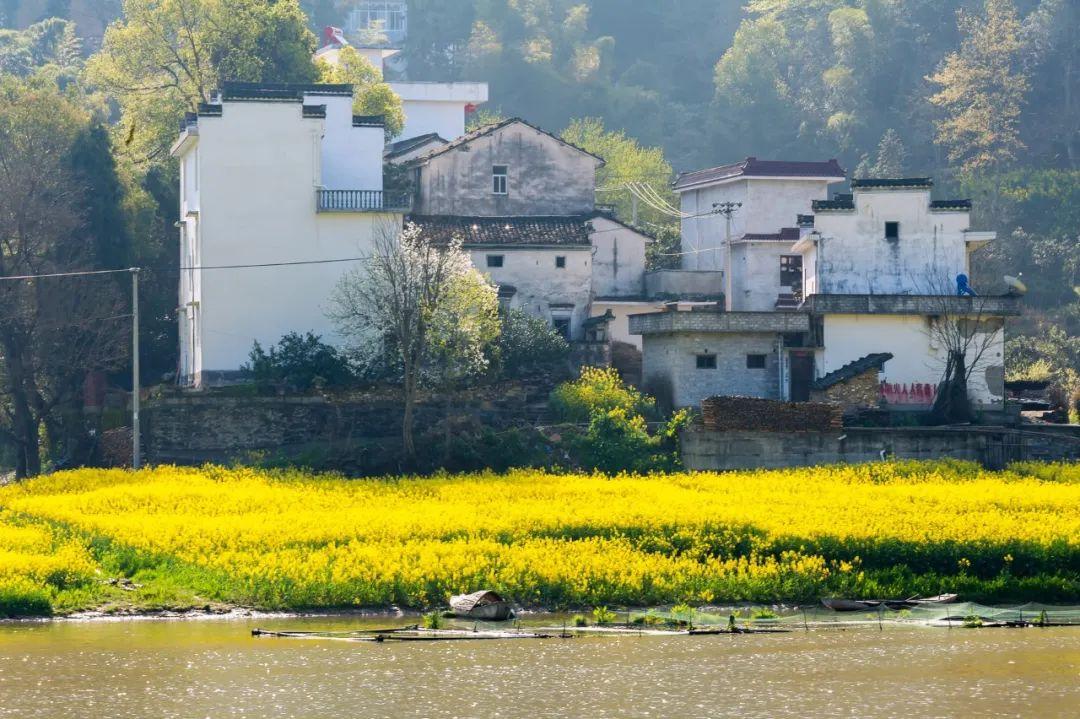 清明节诗词（10首清明诗词）