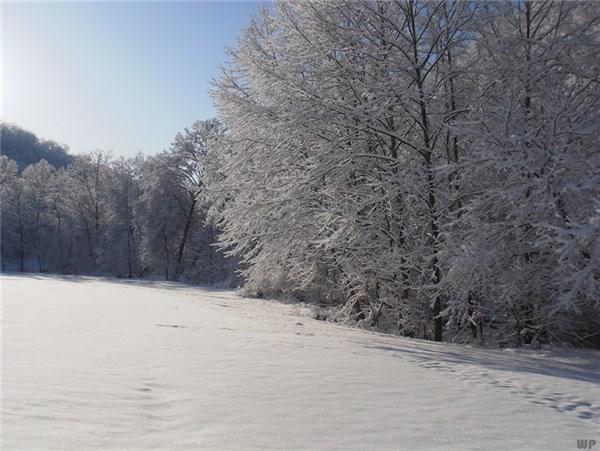 下雪天的心情说说300字（下雪天心情说说总有一句你喜欢的）