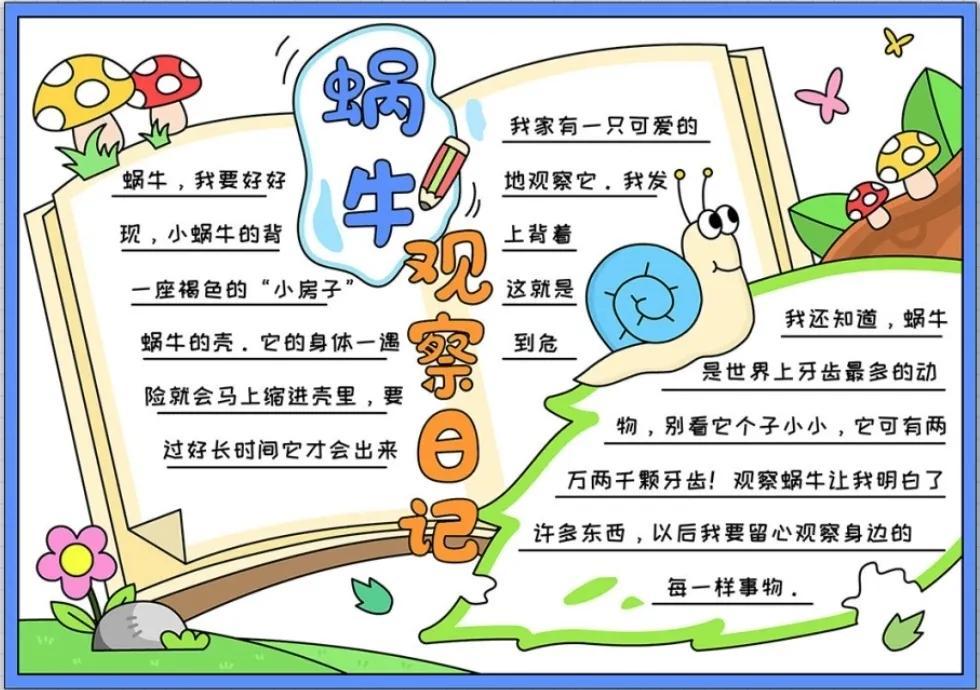 小学四年级课外阅读笔记（小学生课外阅读笔记手抄报汇总）