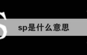 sp是什么意思