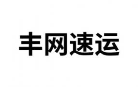 丰网速运单号查询不到怎么回事