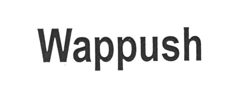 wappush是什么意思,可以关掉吗