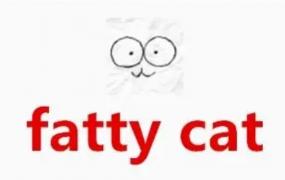 fattycat一直转不出来