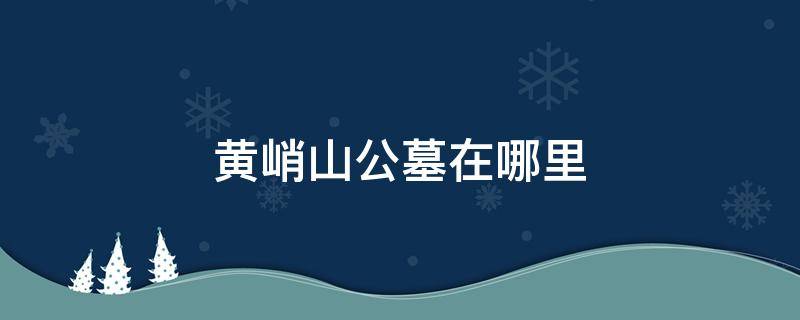 黄峭山公墓在哪里(黄峭公墓在什么地方)