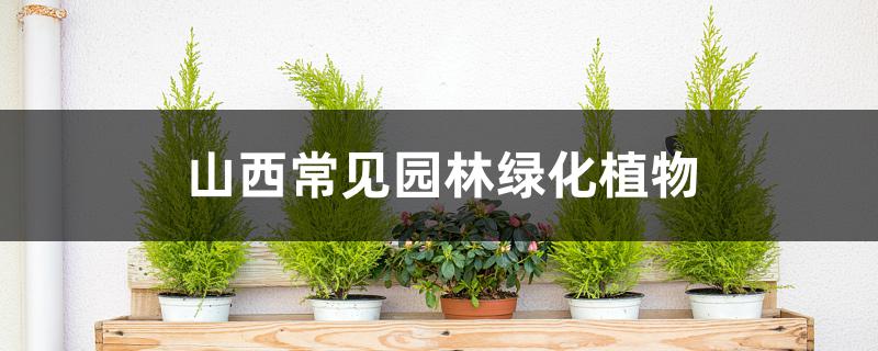 山西常见园林绿化植物繁育方法和育苗技术(山西常见园林绿化植物繁殖方法及技术)