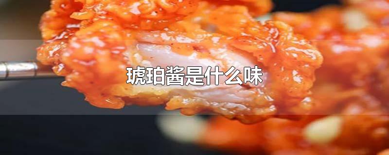 琥珀酱是什么味(韩国炸鸡琥珀酱是什么味)