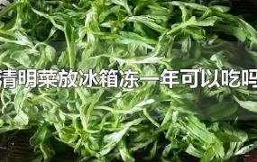 清明菜可以冷冻保存(冰箱冻了一年的菜还能吃吗)