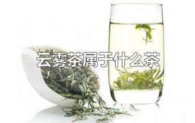 普洱茶属什么茶系(普洱茶属于什么类型的茶?)