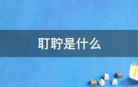 耵聍栓塞是什么(耳道耵聍栓塞是什么)