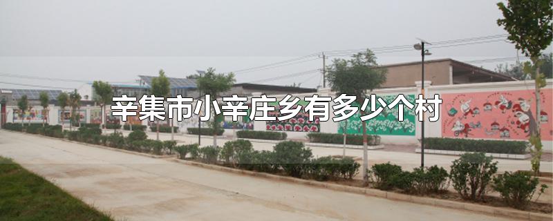 河北省辛集市有多少个村(辛集市小辛庄乡政府电话)