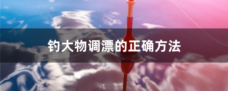 钓大物调漂的正确方法(钓大物怎么调漂)