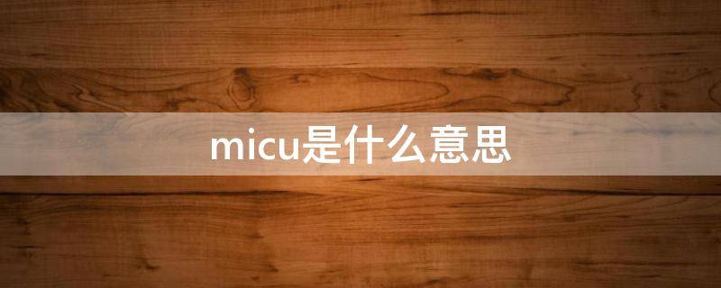 本田micu是什么意思(汽车上micu是什么意思)