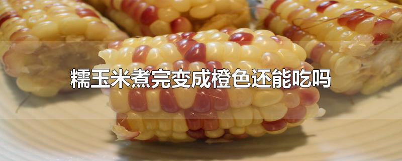 玉米煮了变橙色还能吃吗(玉米煮完变成橘红色能吃吗)