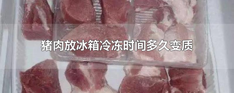 猪肉放冰箱冷冻时间多久变质(猪肉放冰箱保鲜时间多久变质)