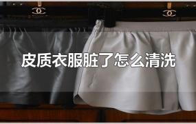 白色皮质衣服脏了怎么清洗(皮衣在家怎么清理保养)