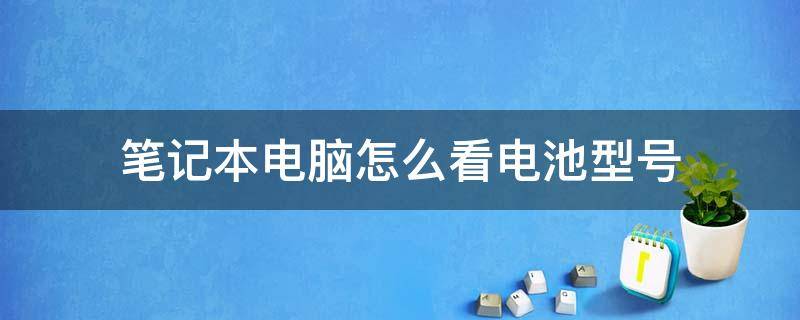 笔记本电脑怎么看电池型号及容量(笔记本电脑怎么看电池型号配置)