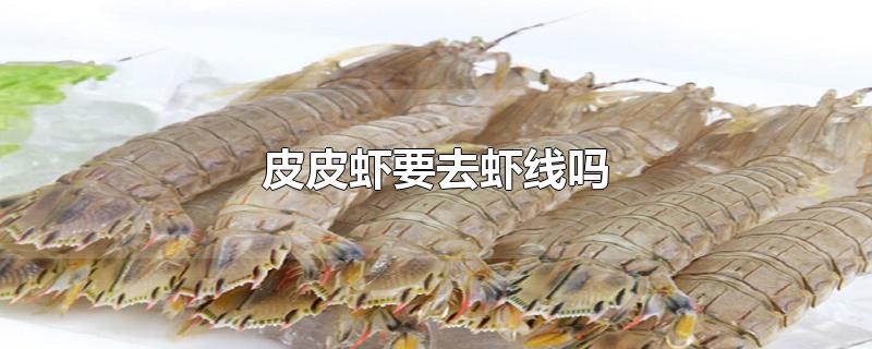 如何剥虾壳去虾线(皮皮虾怎么处理虾线)